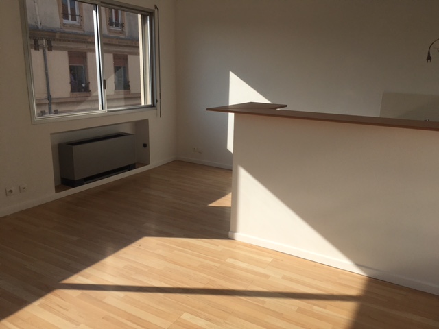 Appartement en location &agrave; Lyon / 3 pi&egrave;ces 55 m&sup2;
